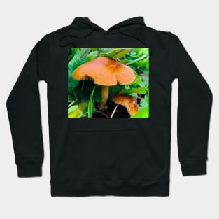 Mushroom Photography Prints #2 Hoodie